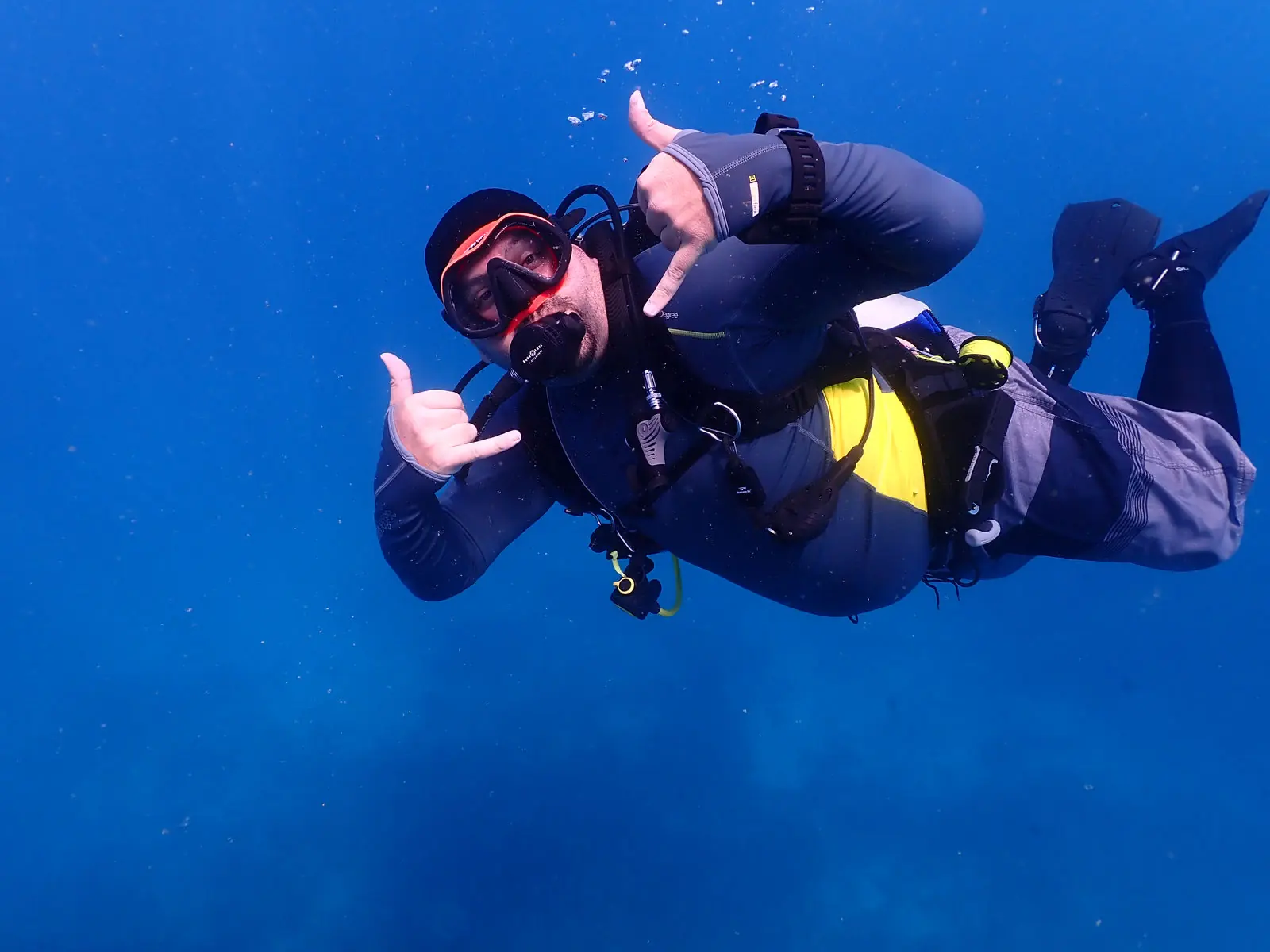 Scuba diver in a kelp forest.